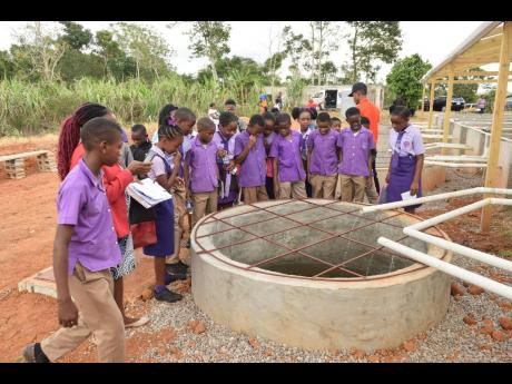 Students of Top Alston Primary School look at one of the fish tanks of the newly launched aquaponics system, courtesy of the AP&FM.