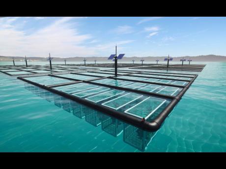 Seaplant farm system surface