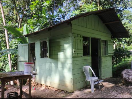 
A shop in Naggo Town, Westmoreland, which trainee cop 26-year-old Duvaughn Brown was visiting when he was shot dead in November 2021.