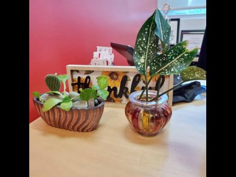 Credit: Contributed Plants can make beautiful accessories for your home or office decor.