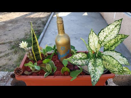 Credit: Contributed The couple worked assiduously in growing their home garden. Now they want to share their love for nature with others.