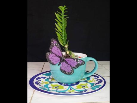 Credit: Contributed A plant in a teacup; who knew?