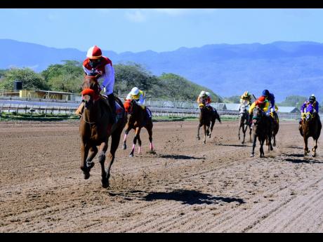 File
SECRET IDENTITY 