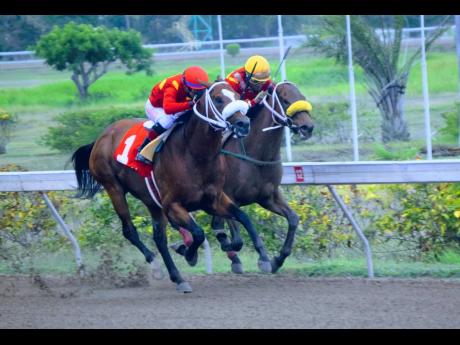 PATRIARCH (outside), ridden by Dick Cardenas, wins the Supreme Ventures 20th Anniversary Trophy over 1100 metres ahead of stablemate GOD OF LOVE (Dane Nelson) at Caymanas Park on Saturday, June 26, 2021.