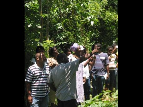 Credit: CANARI Community members and civil society groups on a nature trail in Buff Bay Valley, Jamaica.