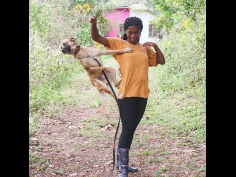 Trinity Pierce does tricks with one of her dogs at her home in Anchovy, St James. 