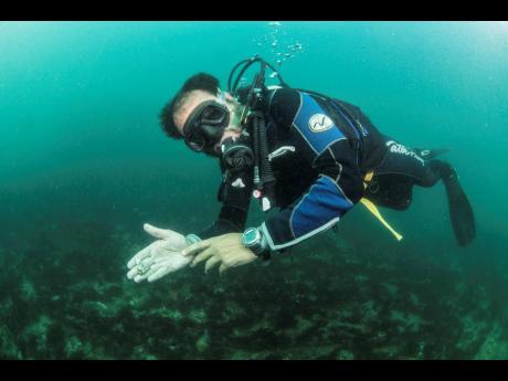 
Ceramic remains of a XIX century wreck.
