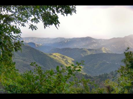 The beautiful scenery and greenery of the Blue Mountains.