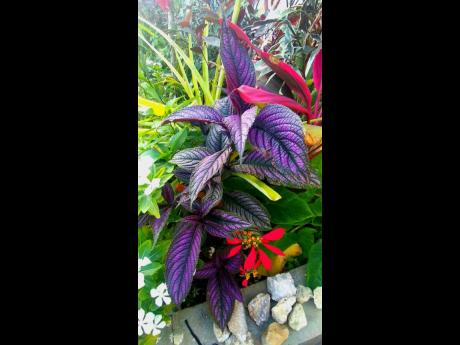 
Colours painted by Mother Nature. 