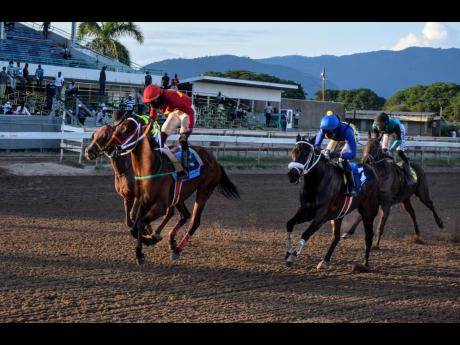 GOD OF LOVE ridden by Robert Halledeen wins the Gerry Skelton Memorial Trophy ahead of ONE DON over 5 1/2 furlongs at Caymanas Park on Sunday, November 28, 2021.