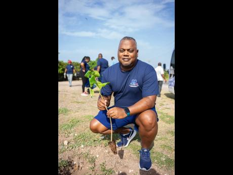 Raoul Glynn, managing director of Carreras Ltd, plants a tree in support of the Government’s ‘Three Million Trees in Three Years’ initiative on Labour Day. 