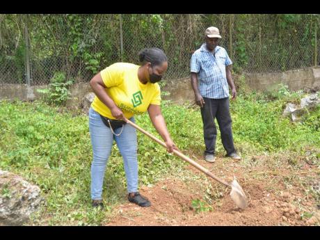 Supreme Ventures Limited Corporate Communications and Public Relations Manager Chloleen Daley-Muschett digs a hole to plant a tree at the Homestead Place of Safety, Stony Hill, alongside Homestead institution groundsman, Michael Brown, on Labour Day.
