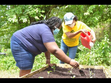 Manager of the Homestead Place of Safety, Selleann Barracks (left), and director of the Supreme Ventures Foundation, Heather Goldson, plant trees on Labour Day at the Homestead Place of Safety in Stony Hill, St Andrew.