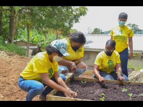 From left: Heather Goldson, director, Supreme Ventures Foundation (SVF); Kajay Rowe, digital and social media manager, SVJ; Shaneka McCrae-Pellington, SVJ Foundation representative; and  Jhana Edwards, communications coordinator, SVL, engage in tree-planti