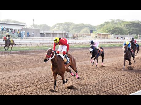 GOD OF LOVE, ridden by Robert ‘Hard ball’ Hallodeen powers home to win the eighth race over five furlongs round, a three-year-old upwards, Non-Restricted Overnight Allowance race at Caymanas Park on Saturday. 