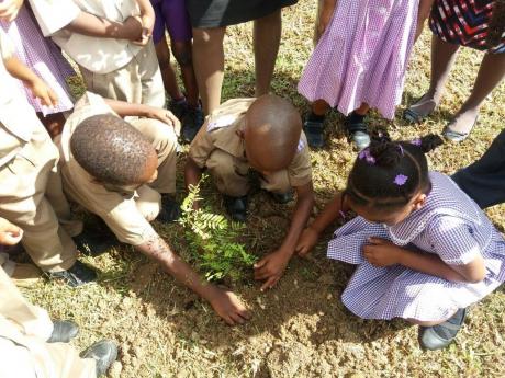 
We must concentrate on early childhood education. The plan must be to produce a new better educated and socialized cohort for primary school (by which time education there would be upgraded to suit students’ instead of teachers’ needs). 
