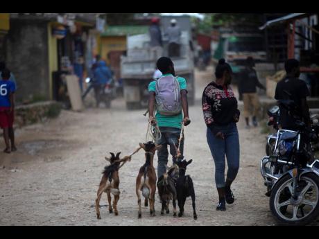 A man takes his goats to the market to sell in the Kenscoff neighbourhood of Port-au-Prince, Haiti, on June 24.