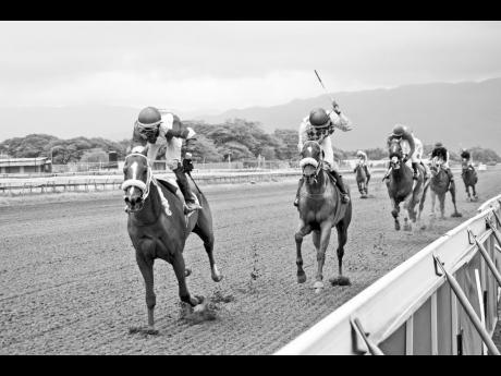 Credit: Anthony Minott/Freelance Photographer
CURLIN’S AFFAIR, ridden by Reyan Lewis, wins the fifth race, a three-year-old and upwards stakes five furlongs round at Caymanas Park yesterday.