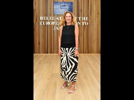  Myriam Ferran, deputy director general for International Partnerships at the European Commission in Brussels, was pleased with the look and feel of the new office.