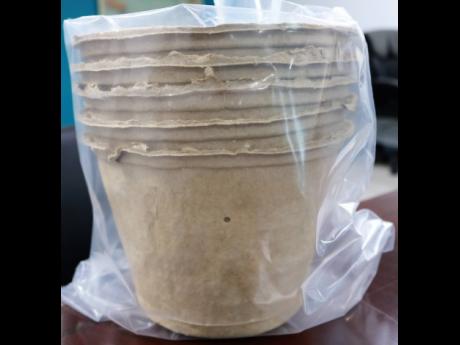 Credit: Christopher Serju Packaged in stacks of five, the Biodegradable Mosquito Killer, which is made from recycle material, looks very much like a regular flower pot and fits in with the decor of your backyard or garden.