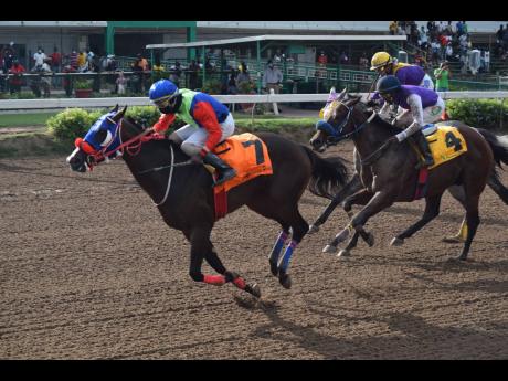 SHE’S A WONDER (7), ridden by Dane Dawkins, wins the I’m Satisfied Trophy over six furlongs at Caymanas Park on Saturday, October 2, 2021.