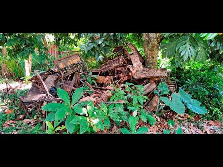 Termite-infested furniture that has been discarded.