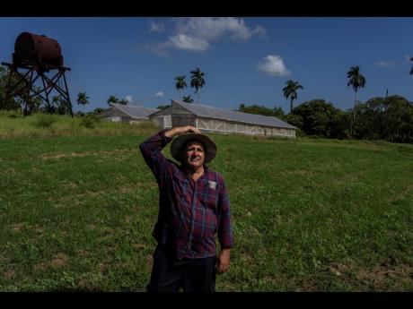 AP 
Lazaro Sanchez poses for a photo on his farm Jesus Maria, in Bacuranao, just east of Havana, Cuba on August 4, 2022. 