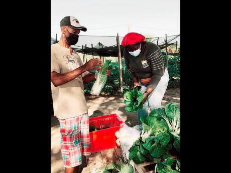 Credit: Meagon Morgan (right) with a customer at Glenister Farm.