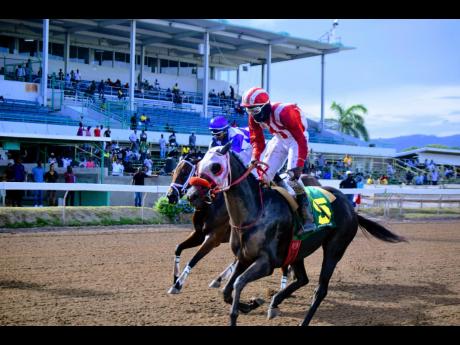 LACRIMAE, ridden by Bebeto Harvey, wins the seventh race over five furlongs round during a three-year-old and upwards Maiden Restricted Allowance race for fillies and mares at Caymanas Park on Saturday, September 3, 2022.