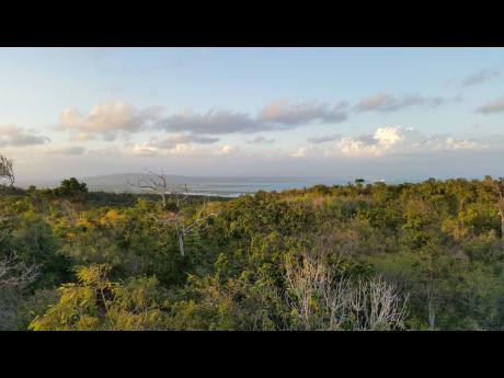 Credit: Ann Sutton View from Portland Ridge to West Harbour, Jamaica.