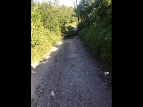 Credit: Contributed Overgrown grass on the road leading to James Hill in Clarendon.