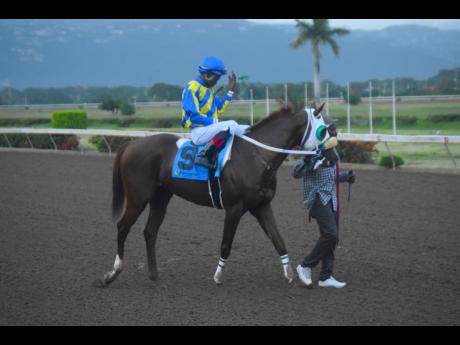 ONEOFAKIND, Reyan Lewis aboard, on his way to the winners’ enclosure after capturing the Errol  ‘Big Sub’ Subratie Memorial Trophy over a mile at Caymanas Park yesterday. Anthony Minott/Freelance Photographer