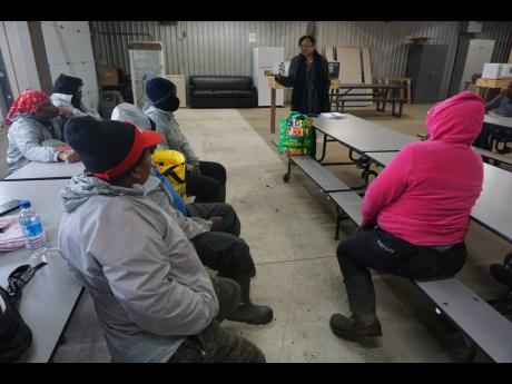 President of the Jamaica Confederation of Trade Unions, Helene Davis-Whyte (standing), speaks to a group of women on a Canadian apple farm on October 13.  Davis-White chairs the factfinding team that is probing the status of Jamaican farm workers in Canada