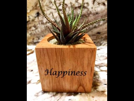 Happiness is having your favourite plant right beside you indoors.