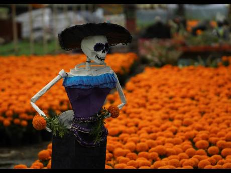 
A Catrina, a folk skeleton doll, stands over a field of cempasuchil or marigold flowers at a farm in Xochimilco, Mexico City. The Mexican marigold flower is known as the flower of the dead and is used in Day of the Dead celebrations. 