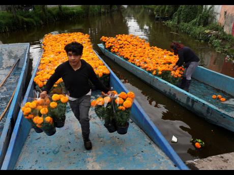 
Farm workers move cempasúchil flowers on flat boats through the canals of Xochimilco in Mexico City. Cempasuchil or the Mexican marigold flower is also known as the flower of the dead and is used in Day of the Dead celebrations. 