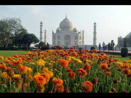 Marigold blooms in the garden in front of Taj Mahal, in Agra. 
