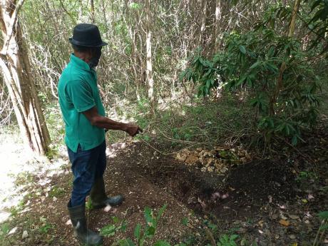 A man points to the location at which the body of farmer Kerry Ann Willliams was discovered in a shallow grave in Mount Airy, Westmoreland, on Friday.