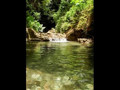Visual excitement is added to the property with this natural pond.