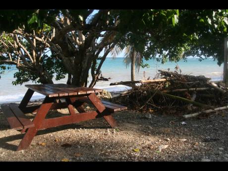 A pile of trimmed tree branches left beside a new wooden bench placed at the Old Steamer Beach in Hopewell, Hanover.