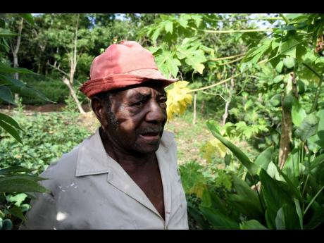 Credit: Ian Allen Roy Smith