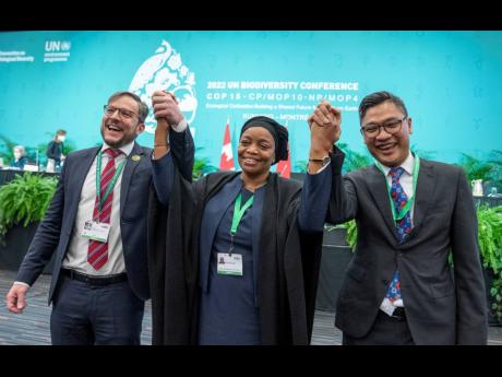 Eve Bazaiba Masudi (centre), vice-prime minister and environment minister of the Democratic Republic of Congo; Brazil Foreign Minister Leonardo Cleaver de Athayde (left) and Daniel Tumpal Sumurung Simanjuntak of Indonesia raise their arms following a discu