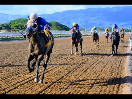 BIG BIG DADDY (left), ridden by Dane Dawkins, wins the ninth race at Caymanas Park, on Sunday, January 31, 2021.