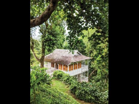 Credit: Contributed A timber cottage secretly hidden in woodland, unknown to us, until today.