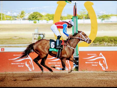 
CALCULUS,  ridden by Robert Halledeen, wins the MIRACLE MAN Cup over  nine and a half furlongs, a three-year-old and upwards graded stakes, at Caymanas Park yesterday.