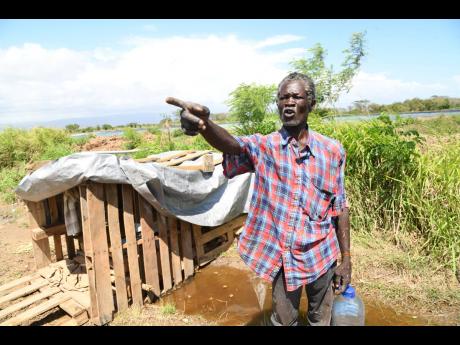 Winston Anthony Thorpe stands outside his makeshift hut in bushes near a farm in Dunbeholden, St Catherine, where he resides. The man, who was honoured last year for his life-saving effort to assist an injured cop, has not been able to improve his living c