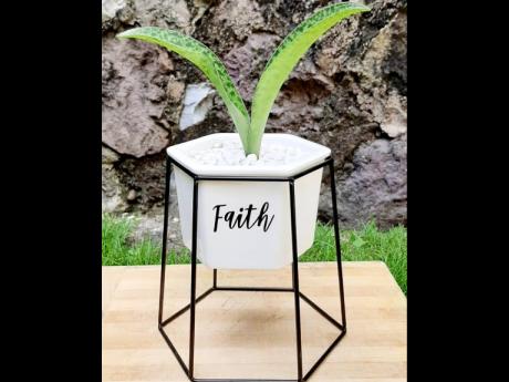 Through plant life, Branden-Hind is encouraging others to keep the faith.