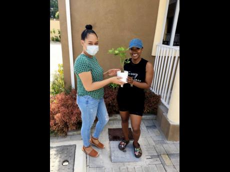Branden-Hind was excited to officially make social media influencer, Tanaania , a new plant mom.