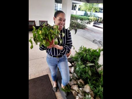 What a ‘releaf’ it has been for Tiffanie Branden-Hind to embark on her plant business. 