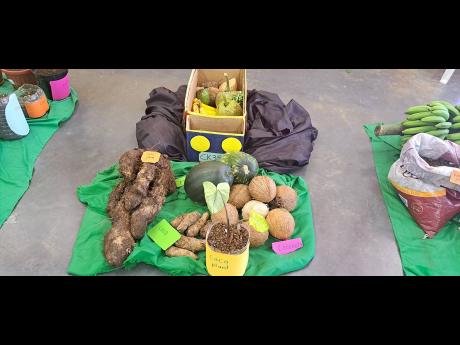  Some of the farm produce that was on display during Wednesday’s Portland 4-H Clubs parish achievement day held at the College of Agriculture, Science and Education (CASE). 